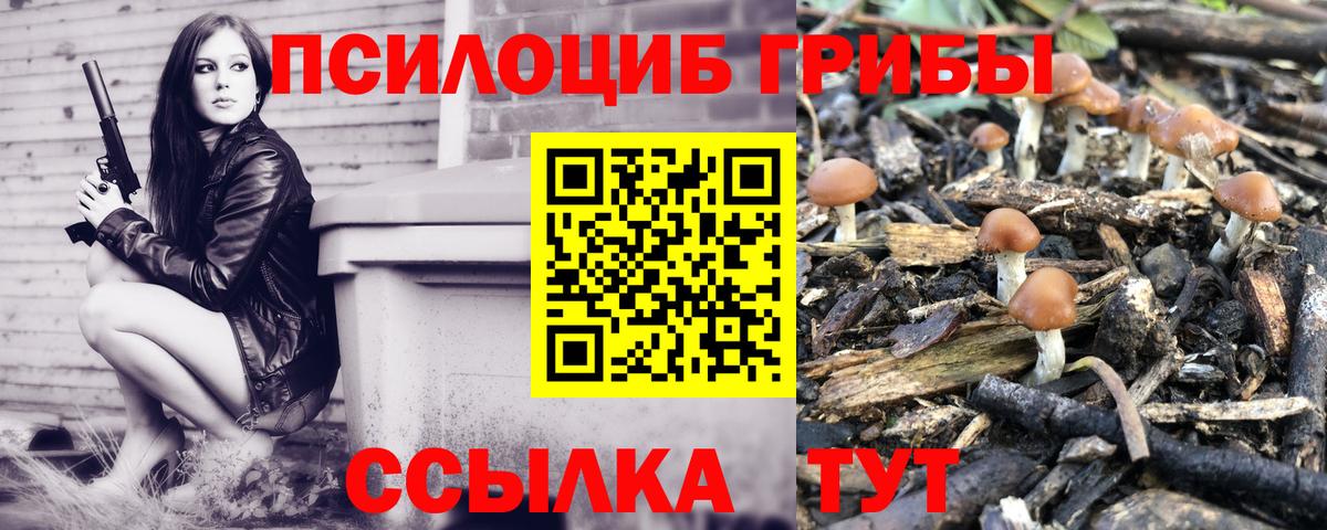 Псилоцибиновые грибы Psilocybine cubensis  Вход с VPN  Псилоцибиновые грибы прущие грибы  Канаш 